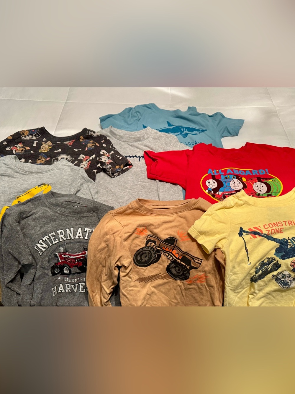 5T/ xs 4/5 boys tee and long sleeve shirt lot.